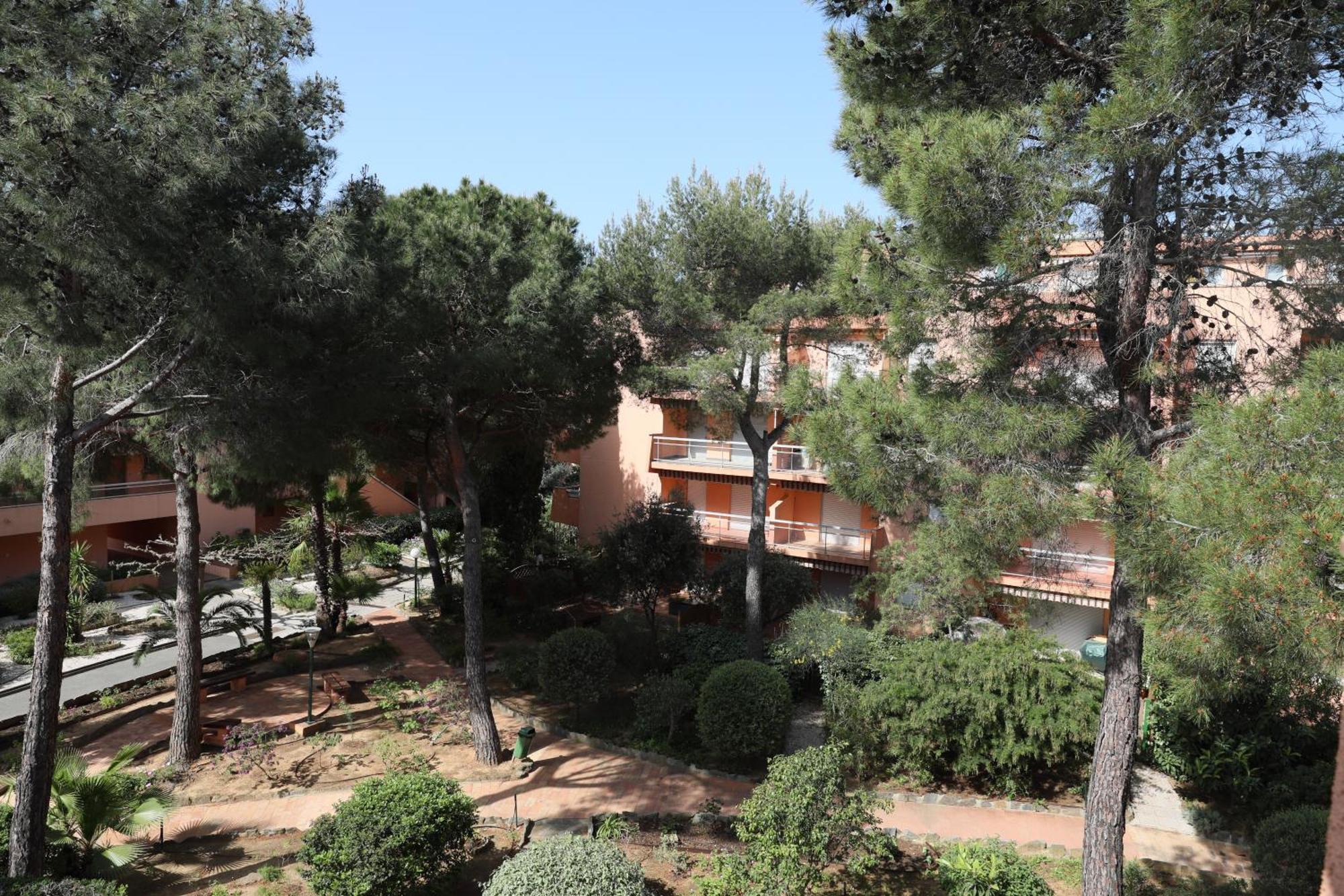 L'Amiraute 150M De La Plage Bormes-les-Mimosas Zewnętrze zdjęcie